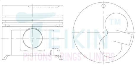 Поршень TEIKIN 46684STD