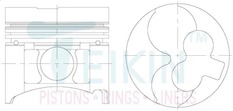 Поршень TEIKIN 44666ASTD