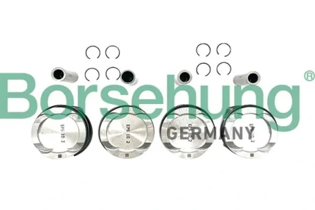 Автозапчасть BORSEHUNG B11136