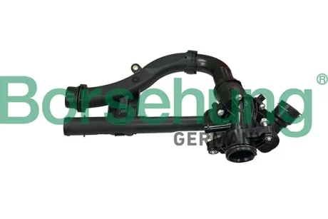 Термостат BORSEHUNG B10566