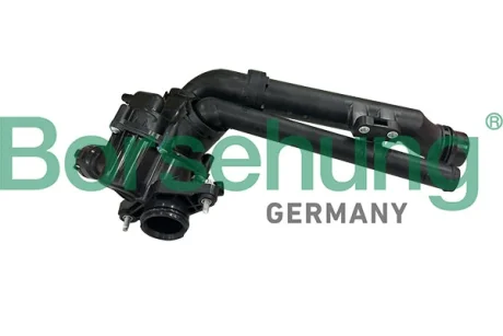 Термостат BORSEHUNG B10565