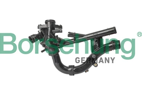 Термостат BORSEHUNG B10569