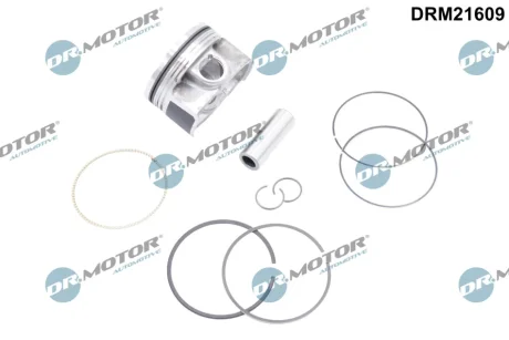 TLOK KPL NOM. DR MOTOR DRM21609