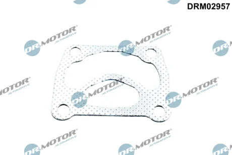 USZCZELKA KOLEKTOR WYD DR MOTOR DRM02957