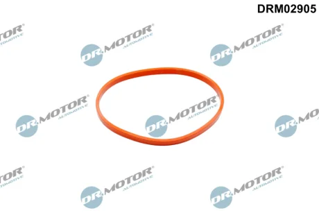 Прокладка дросельної заслiнки DR MOTOR DRM02905