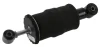 Drivers cab shock absorber rear R fits: MAN TGS SACHS 350864 (фото 1)