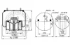 Air suspension bellows Contitech 4881NP30 (фото 2)