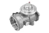EGR valve BorgWarner 7451D (фото 1)