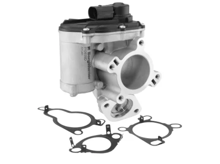 EGR valve BorgWarner 710939D