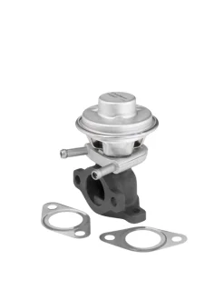 EGR valve BorgWarner 712069D