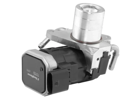 EGR valve BorgWarner 7375D