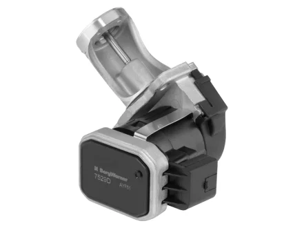 EGR valve BorgWarner 7529D