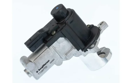 EGR valve BorgWarner 710977D