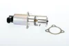 EGR valve fits: VOLVO V40 DACIA SOLENZA MITSUBISHI CARISMA, SPACE STAR NISSAN INTERSTAR, PRIMASTAR OPEL MOVANO A, VIVARO A RENAULT CLIO II, CLIO II/HATCHBACK, ESPACE IV, KANGOO 1.9D 08.95- BorgWarner 710725D (фото 1)