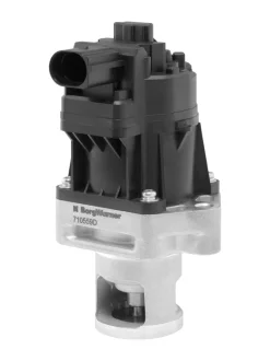 EGR valve BorgWarner 710559D