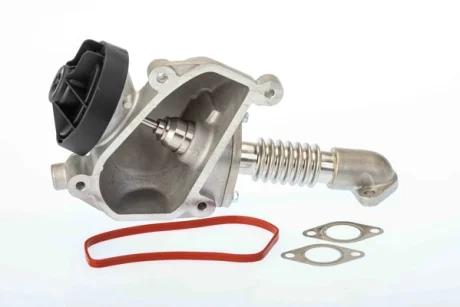 EGR valve BorgWarner 7206D