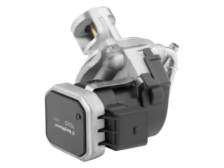 EGR valve BorgWarner 7504D