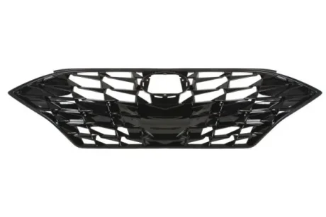 Front grille BLIC 6502073170990P