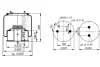 Air suspension bellows PHOENIX 1DF20C2 (фото 2)