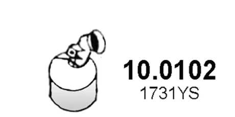 Catalytic converter ASSO 100102