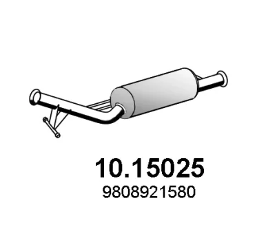 Catalytic converter ASSO 1015025