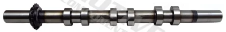 Camshaft MOTIVE T6553