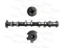 Camshaft MOTIVE T4529 (фото 1)