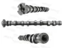 Camshaft MOTIVE T4438 (фото 1)