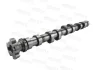 Camshaft MOTIVE T4438 (фото 3)