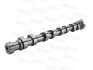 Camshaft MOTIVE T4438 (фото 4)