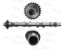 Camshaft MOTIVE T4477 (фото 1)