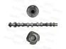 Camshaft MOTIVE T4522 (фото 1)
