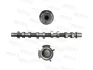 Camshaft MOTIVE T4521 (фото 1)