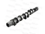 Camshaft MOTIVE T4521 (фото 2)