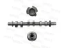 Camshaft MOTIVE T4473 (фото 1)