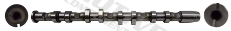 Camshaft MOTIVE T2190