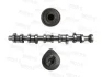 Camshaft fits: VW CALIFORNIA T5 CAMPER, MULTIVAN T5, TOUAREG, TRANSPORTER T5 2.5D 01.03-05.10 MOTIVE T067A (фото 1)