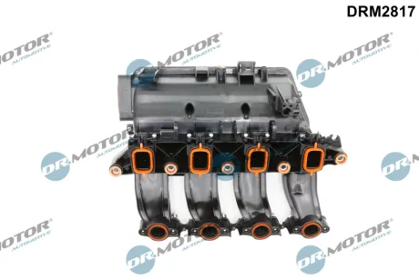Впускний колектор BMW DR MOTOR DRM2817
