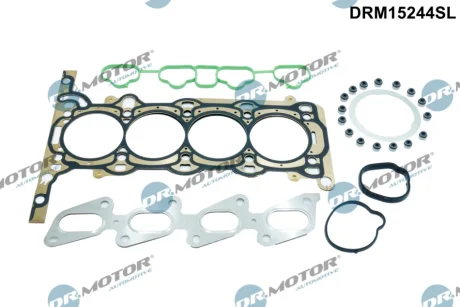 Прокладки комплект DR MOTOR DRM15244SL