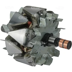 Alternator rotor CARGO F032238117