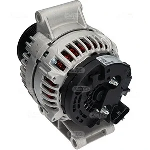 Alternator core CARGO 116673