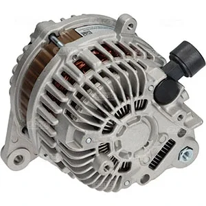 Alternator core CARGO 116793