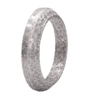 Прокладка приемной трубы Renault Clio II 1,4 8V Motrio 8660000312