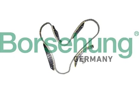 Комплект ланцюга BORSEHUNG B12963