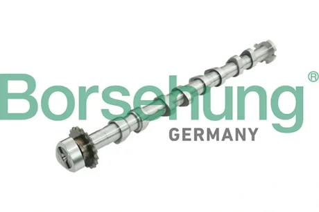 Розподільчий вал VAG IN BORSEHUNG B13031