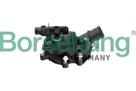 Термостат BORSEHUNG B10568