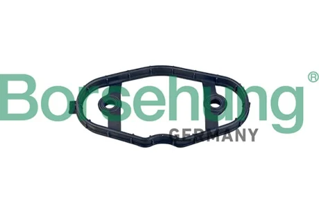 Ущільнення, кришка голівки циліндра BORSEHUNG B12973