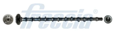 Кулачковий вал FRECCIA CM052354